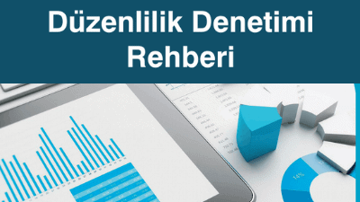 duzenlilikdenetimirehberi.png