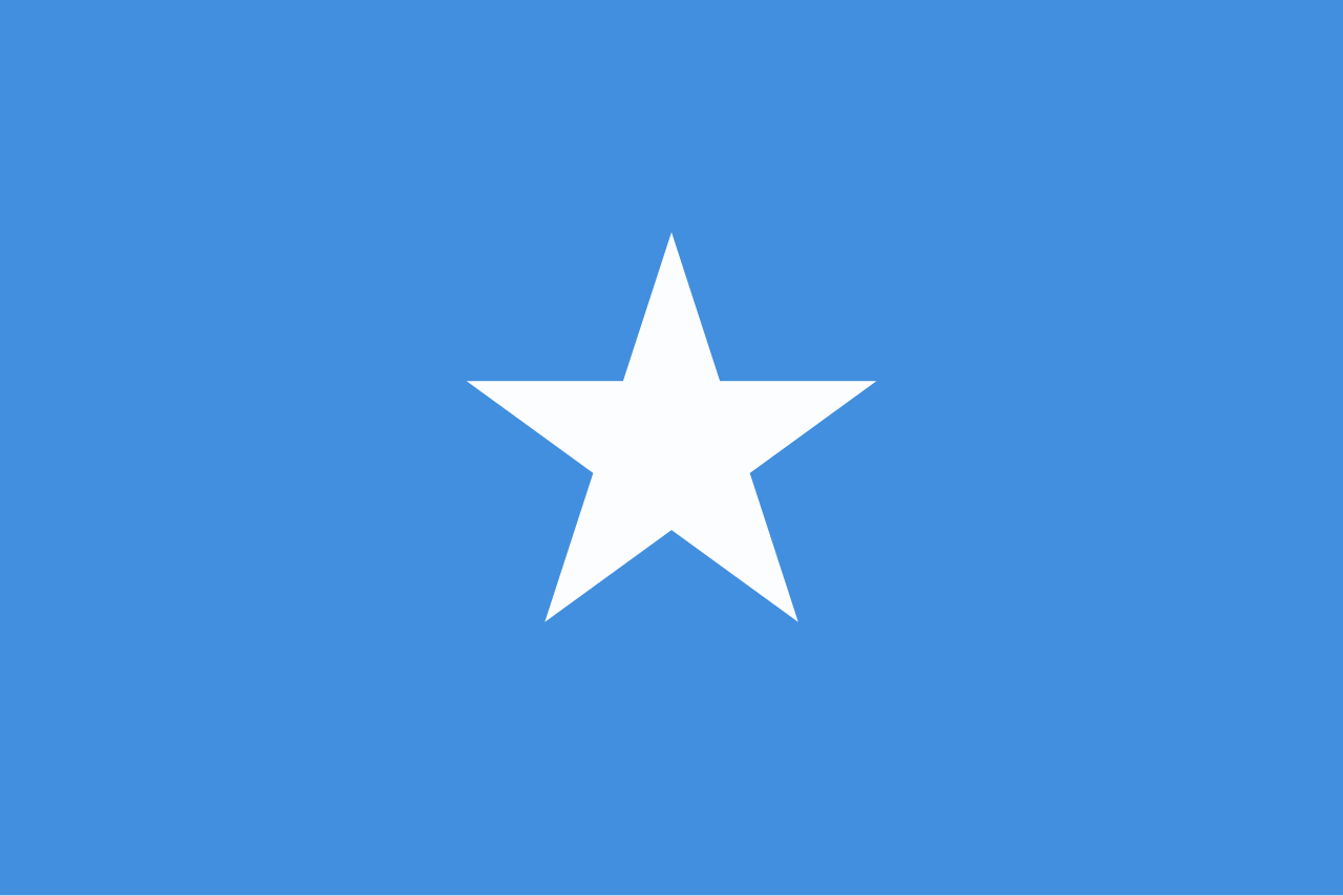 Flag_of_Somalia.svg.png
